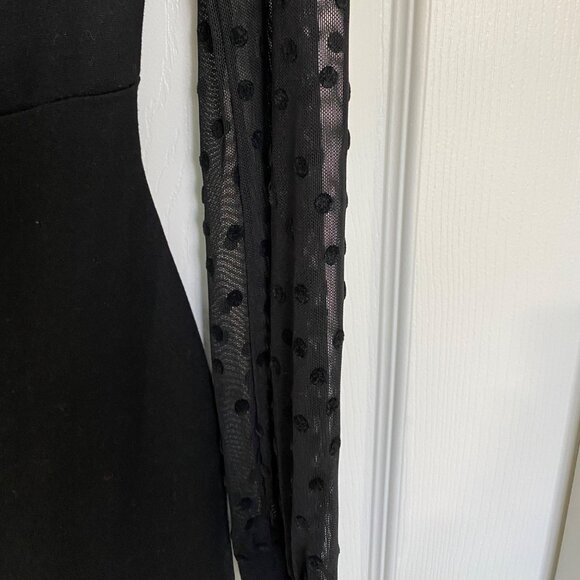 Sheer Polka Dot Long Sleeve Black Bodycon Dress With Mock Neck & Back Zip Closur - Picture 9 of 9